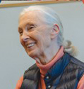 Dr. Jane Goodall, Ph.D., DBE