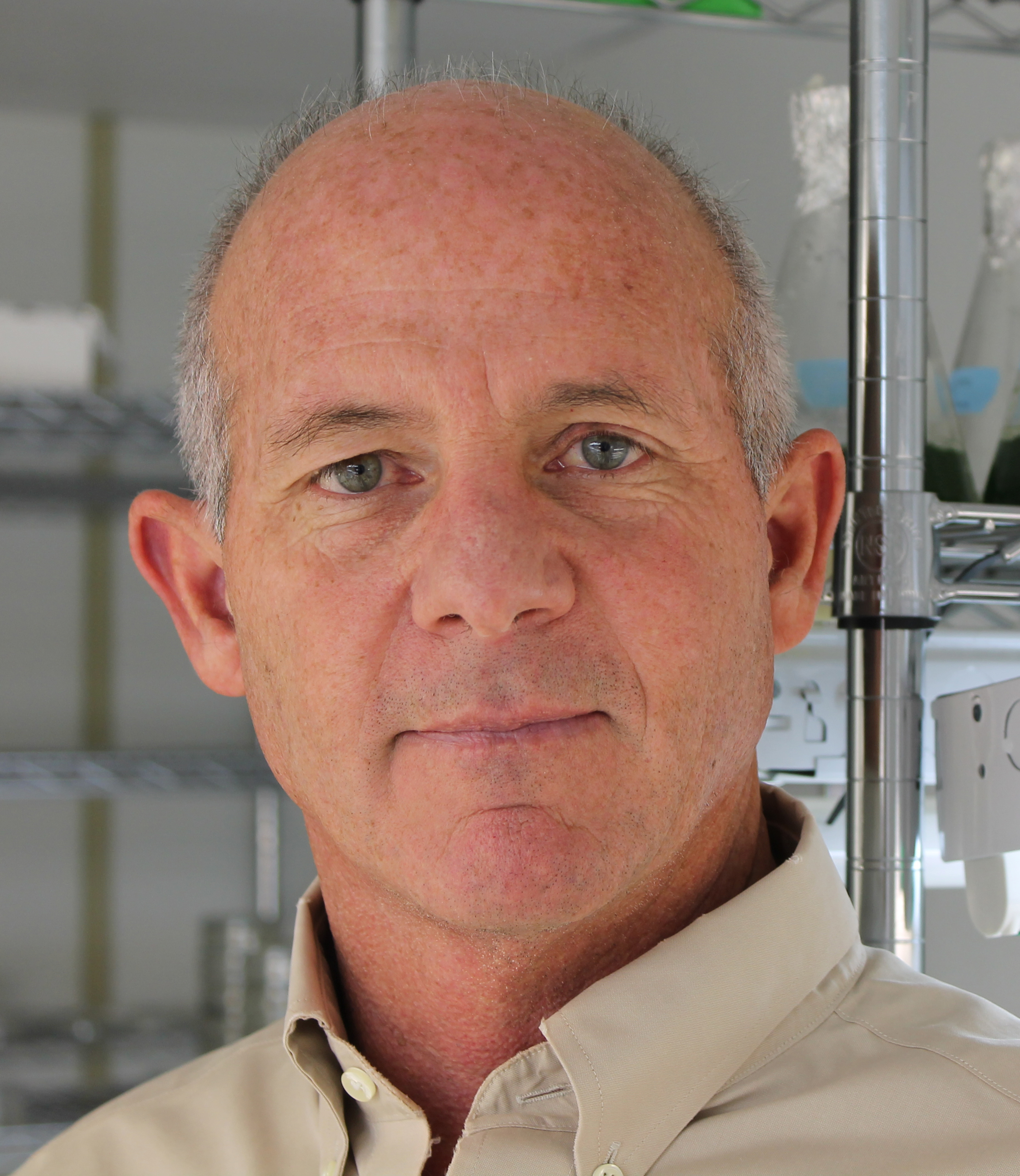 Dr. Stephen Mayfield
