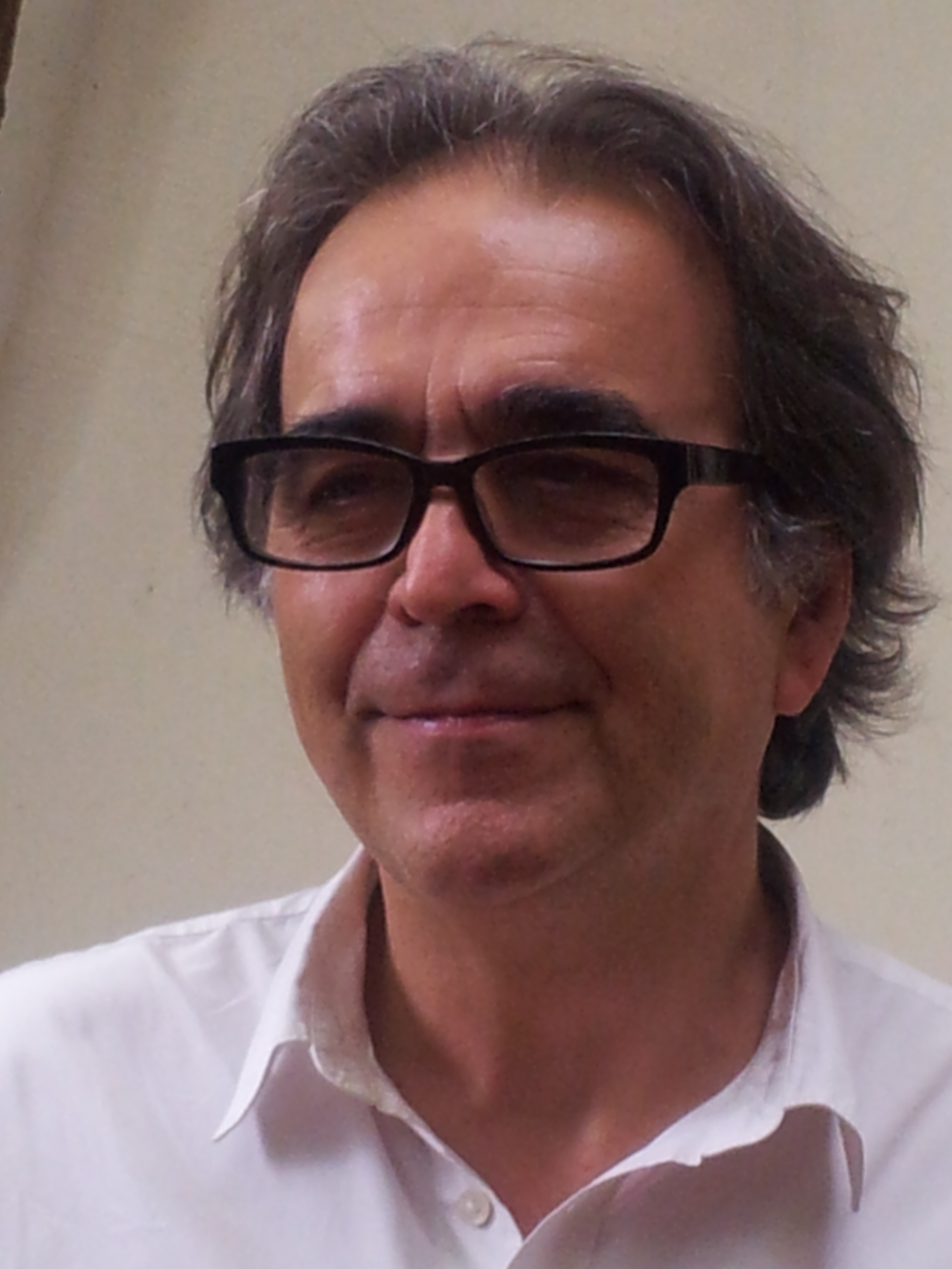 Joan Subirats Humet